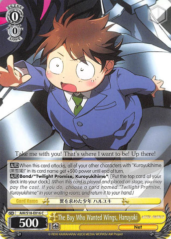 The Boy Who Wanted Wings, Haruyuki (AW/S18-E016 C) [Accel World]